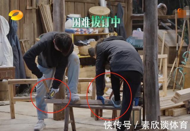 《向往5》干活被质疑作秀,看嘉宾种树时的衣服,是否摆拍很显然