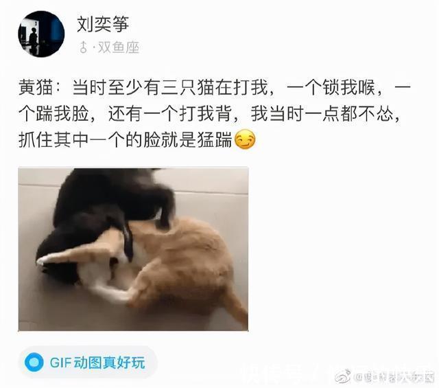 |冬至到底吃什么的终极答案 冷段子2018