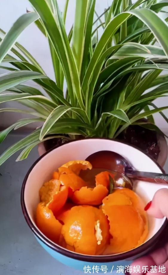 养花|7种“垃圾”不是废物,泡一下水,肥的流油,养花一级棒