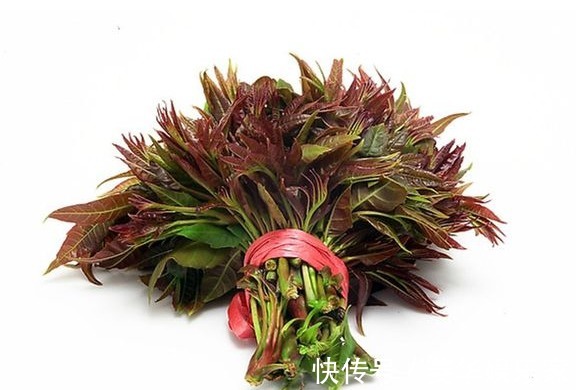 赃物|不焯水“不能吃”的四种蔬菜,许多人不知道,还傻傻的一直吃