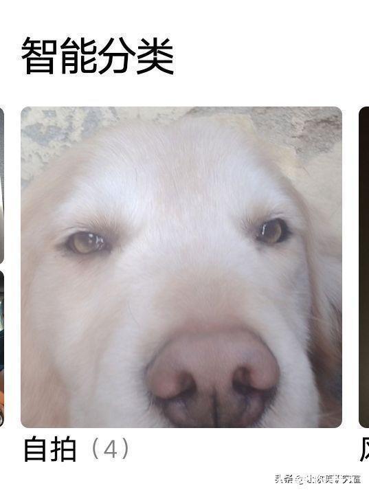 中元节|千万别随便在淘宝乱搜索，哈哈沙雕卖家想笑死我啊