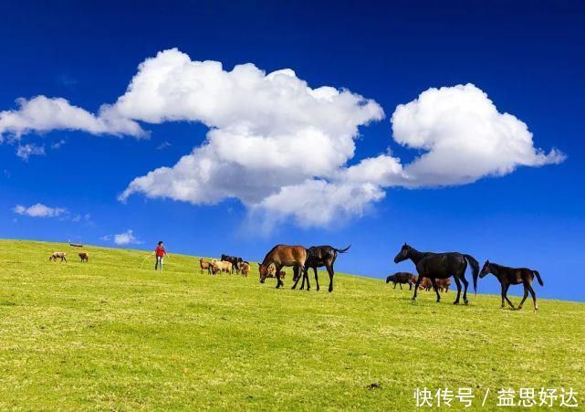 伊犁哈萨克自治州|新疆最美的草原，景色好看的一塌糊涂你去过几个