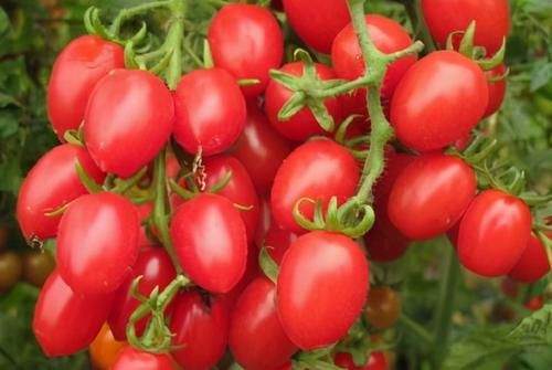 女性到了中年，多吃3种食物，美容养颜，改善体质，早吃早好