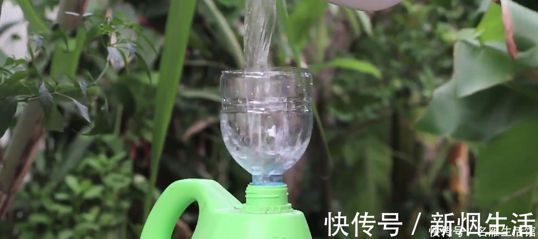 塑料袋|塑料瓶丢进花盆里,一整年都不用浇水了养花超棒,几乎没人晓得
