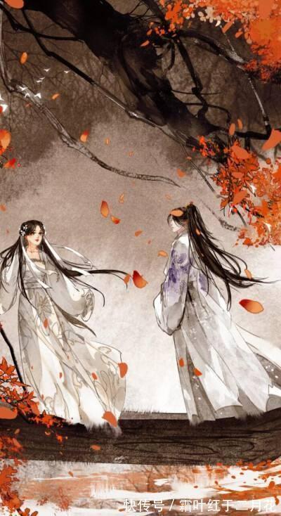 周生#聊斋故事:猫王