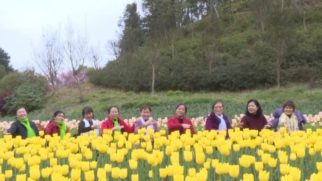 当季｜“五一”假期赏花打卡地→