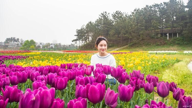 武汉隐藏着一个鲜花故乡，风光无限自然淡雅，堪称热门网红打卡地