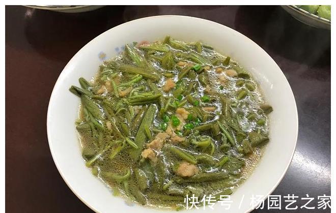 凉开水|三个人的晚餐,3菜1汤,30分钟上桌,家常小菜,胜过大鱼大肉