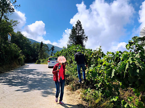 梯田|开车一小时海拔升高两千米，还全是盘山公路，却意外发现了蓝色梯田