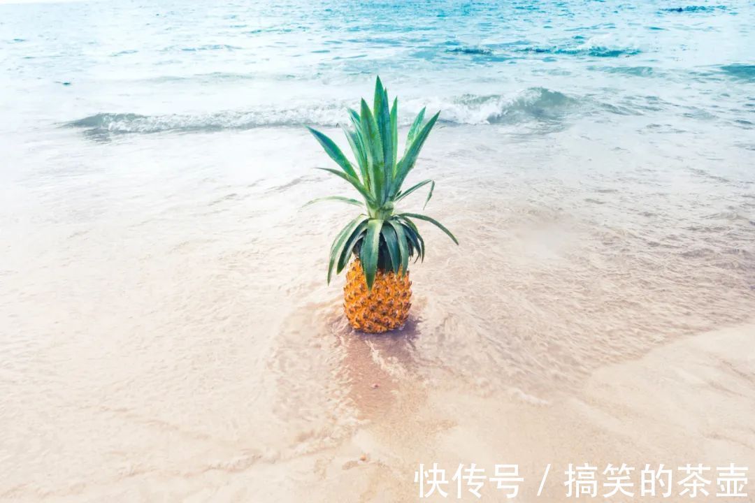 |10个幽默冷笑话,让你一笑解千愁