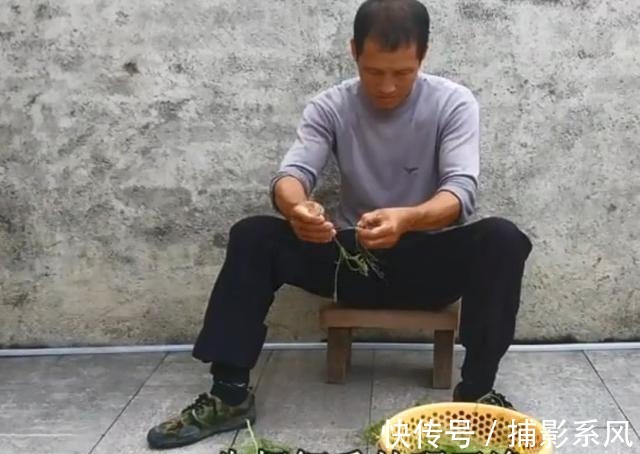 农村南瓜地里的一种美味，一百多条才能炒一盘，吃起来很鲜嫩可口