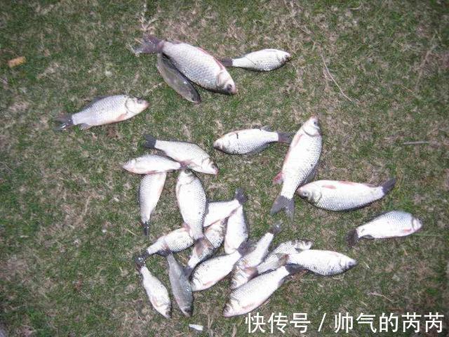 鱼群|钓点选新还是旧,老钓友告诉你,喜新厌旧还真不是个贬义词