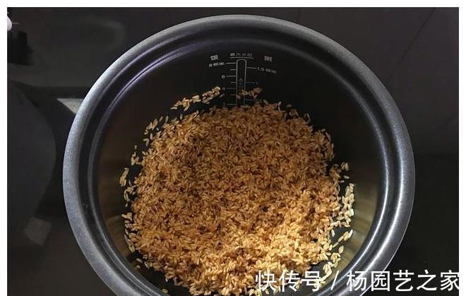 焖饭|电饭煲懒人焖饭，饭菜一锅出，简单好吃有营养，学会不用点外卖了