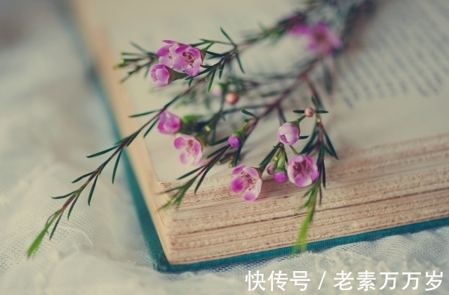 一日三餐&有些能力,只有读书能给你