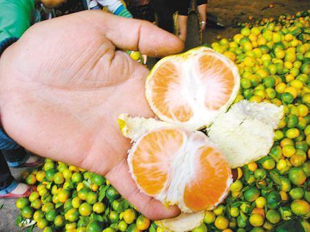 血糖|糖尿病人吃橘子,是升血糖还是降血糖不少人吃错了,现在告诉你