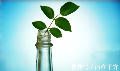 地板|拖地时,水里加上它,拖一次,一星期都不会落灰!