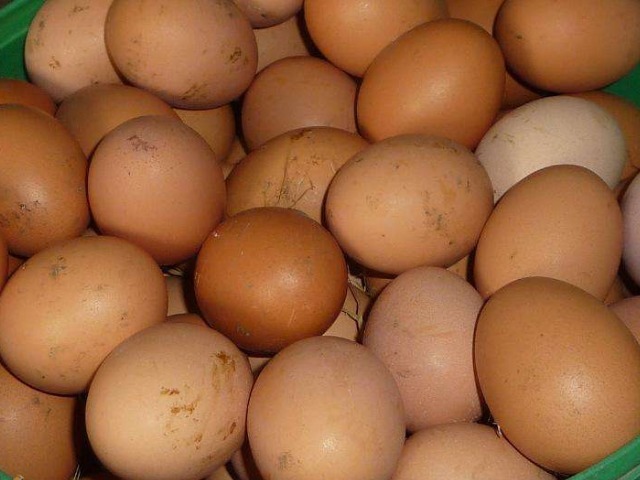 油腻食物|鸡蛋并不是人人都可以吃的,特别是5种患病人群,只会加重病情