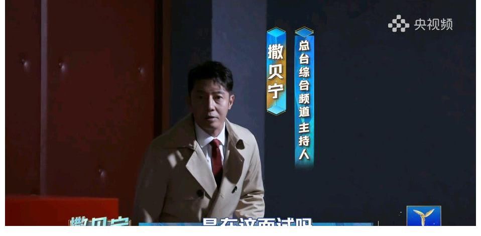 撒贝宁|央视撒贝宁,调皮捣蛋、严肃正经两种风格切换自如,他的度在哪?