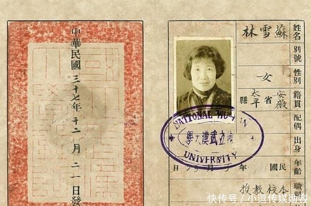 因鲁迅拒绝握手,“追星失败后”的苏雪林,骂了鲁迅半辈子!