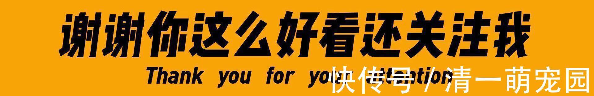 oppo|华为不是第一了:国内手机市场风云突变,线下市场成核心厮杀战场