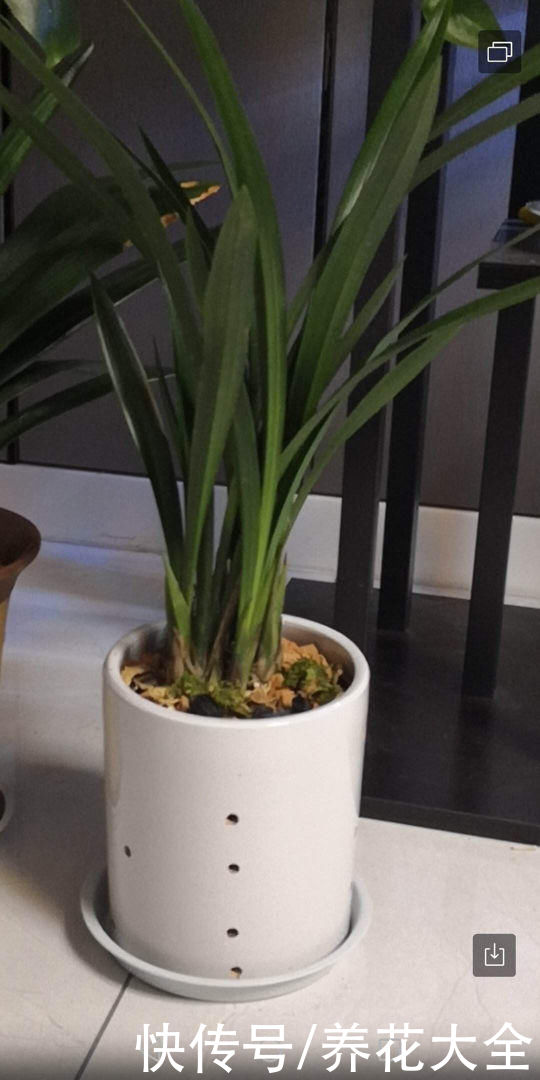 花盆选好了，花草活一半，现在就教你