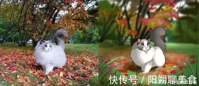宠物照|迪士尼化宠物照,画家笔下的小家伙们就像是动画片中的角色一样