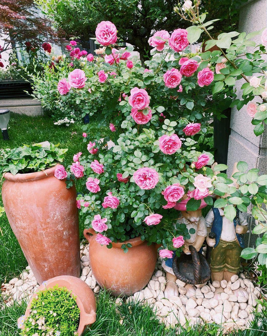 房屋|一楼带院子的房子值得买吗？看看这些底楼的庭院花园，挺让人心动