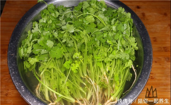 爱吃香菜|农村老奶奶教你香菜老一辈吃法,祖传秘方做一大罐子,家人超爱吃
