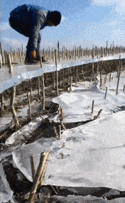 |搞笑GIF:扎心了,遇到这种情况,先捂住膝盖还是先捂脸