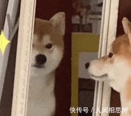 了不起的女孩 薄外套+T恤、衬衫+阔腿裤,今秋最in穿搭!