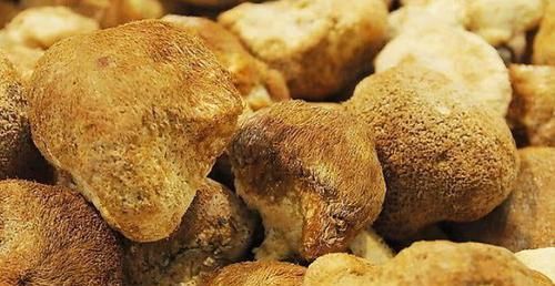 幽门螺杆菌难消除?常吃这几种食物,帮你抑菌消炎,胃慢慢变好