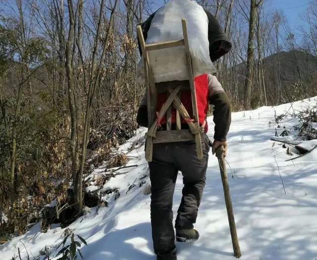 坡人|民国长白山蚊虫甚多，“背坡帮”有驱蚊妙招，这办法现代不能用了