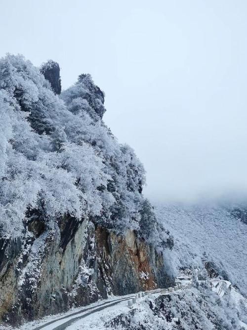 大官山一景|这山 这路 这雪……美丽又“冻”人