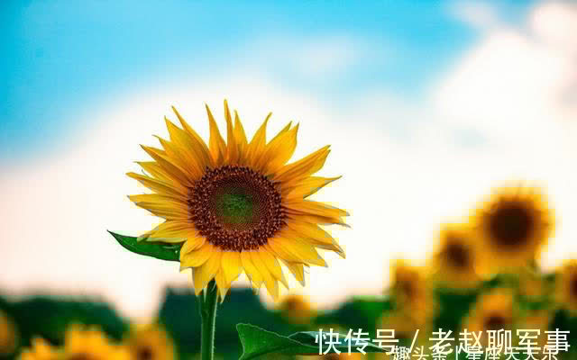 真爱|3天后,月老牵线,真爱降临,旧情复燃,爱火重燃,余生终不悔