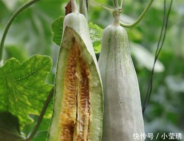 中老年|建议中老年:少吃花生瓜子,若不差钱常吃这几物,胜过每天去跑步