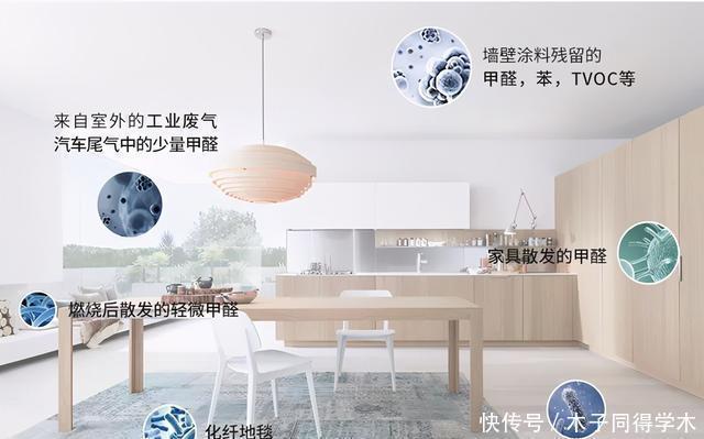 装修|装修后想要尽快入住,除甲醛有哪些方法?这些科学的方法是最好的