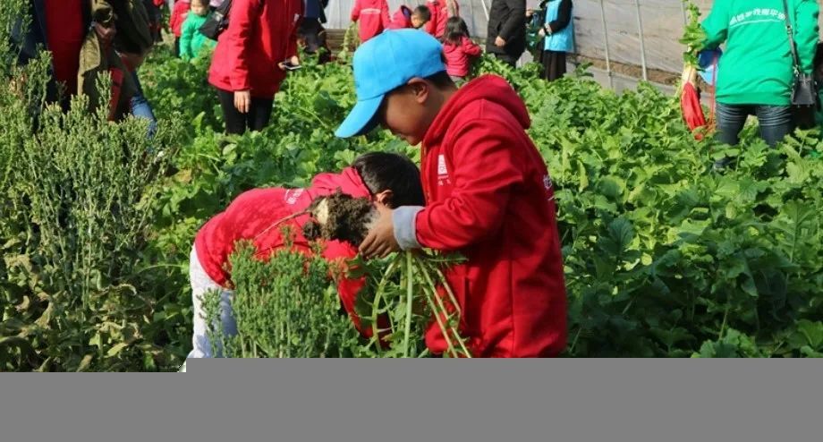 航天科普|优秀！平湖这个航天科普基地入选长三角市民终身学习体验基地