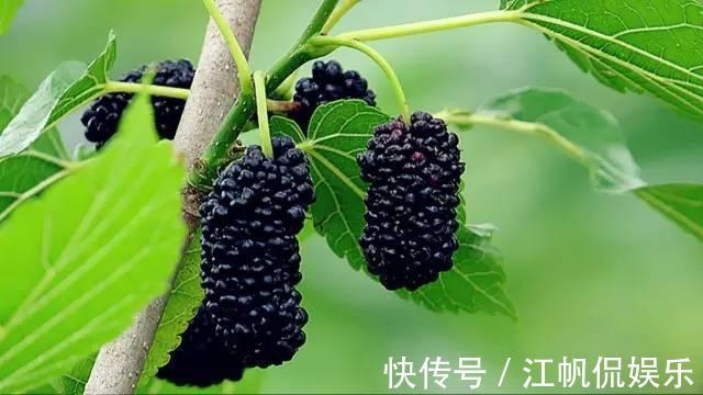 失眠|人有2个“睡眠开关”,睡前按一按,一夜安稳睡眠到天亮