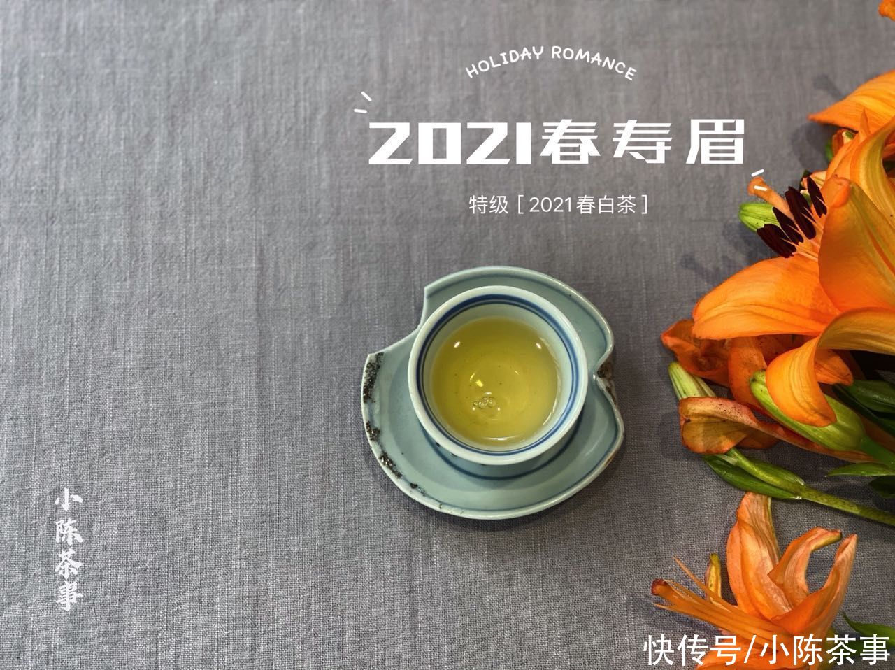 茶树|从产区、工艺到冲泡,全方位教你挑选寿眉,不藏私,都分享给你