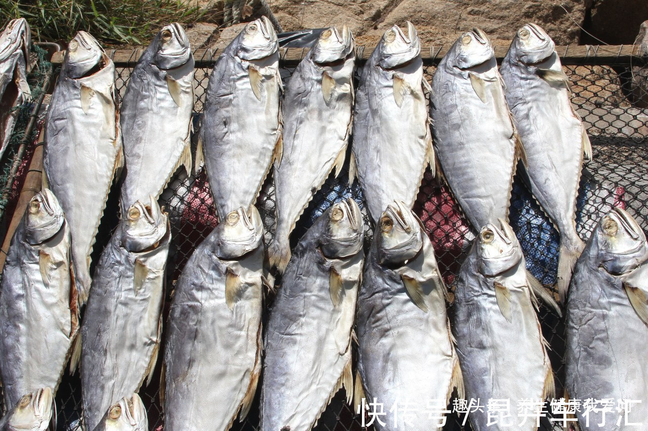 心率|医学教授:长寿的7大特征!50岁以后有3个以上,多半会长命