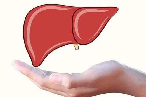 肝脏|医生建议：养肝的人，这两种蔬菜尽量少吃或不吃，你做对了吗？