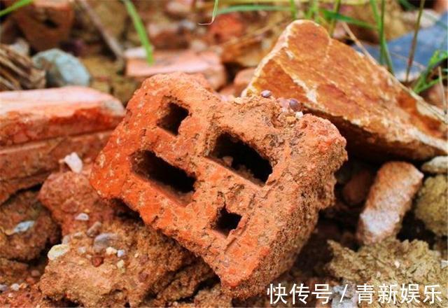 出门捡4种东西，养花垫盆底，营养土不用买，疏松透气、不烂根