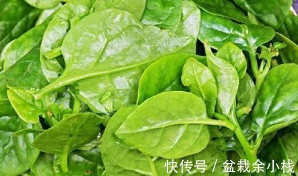 定粉酶|秋天要推荐常吃四种食物,排毒养颜、延缓衰老,早吃早好