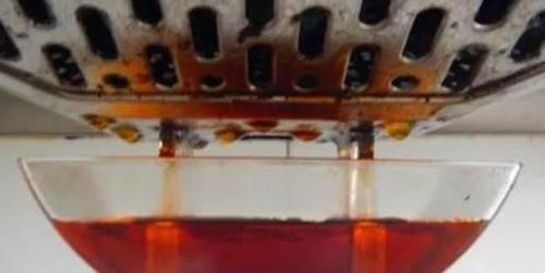 废油|这种“废油”,啥花都喜欢,盆里“挖洞”倒一点,养1盆爆1盆