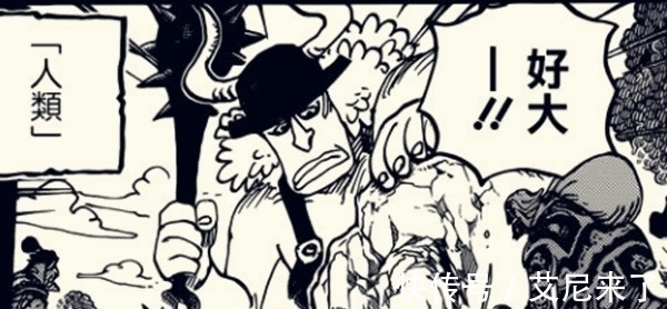 霸者|海贼王981话:蛮霸者露面,全员动物系魔人族!黑玛利亚由蛮霸者晋升