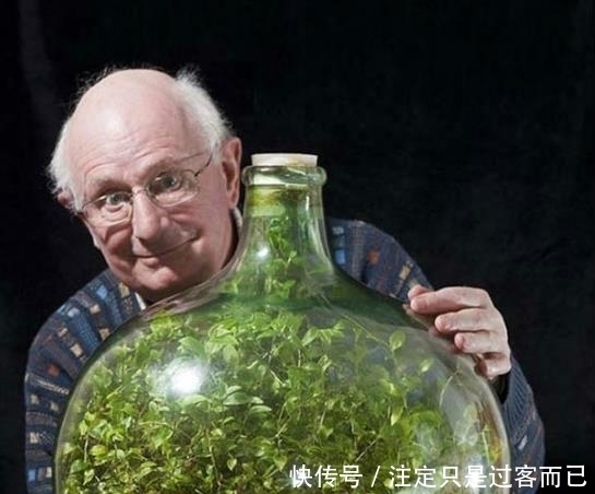 植物 59年就浇过一次水，密闭环境中无任何养料的植物，如今长什么样