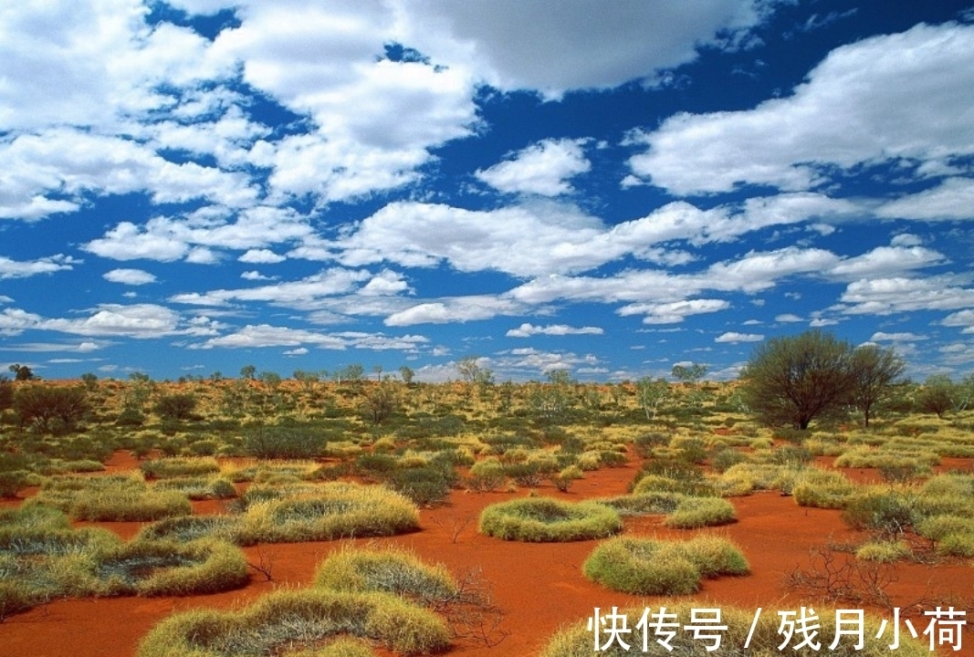 摩羯座|不动声色,却让人信赖的星座,不显山露水,实则人脉广