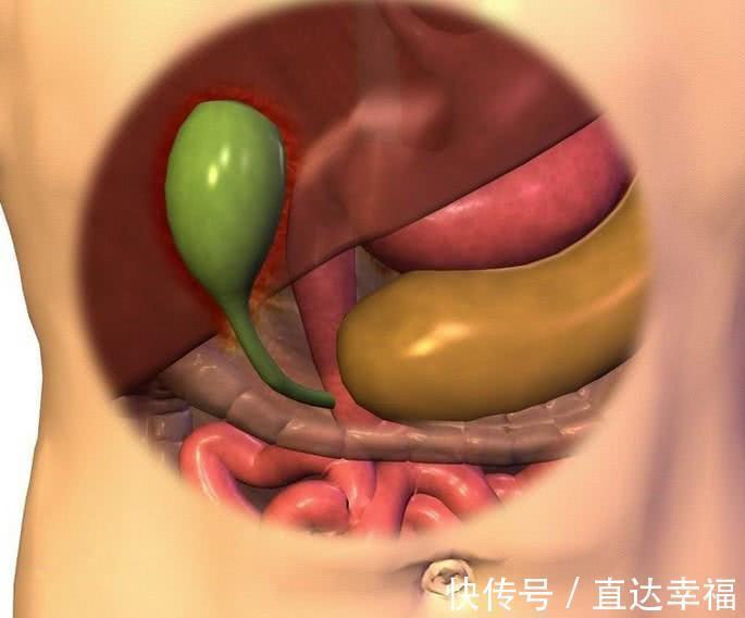 中医|橘皮是湿气的“死敌”,除了祛湿还有4个好处,三个妙招建议收藏
