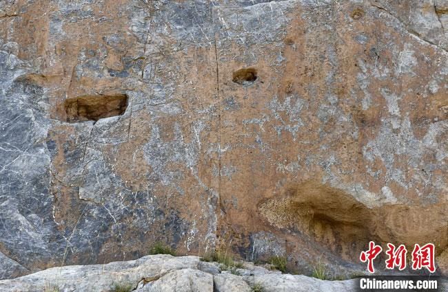 大角羊|甘肃肃北发现逾5000幅千年岩画 反映射猎游牧生活