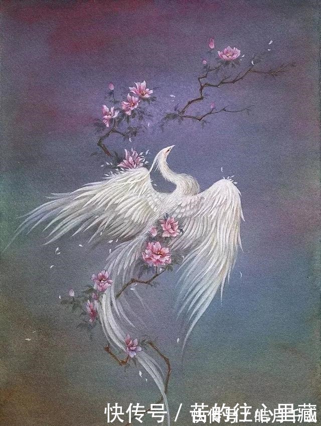 杉泽&90后画师把山海经异兽画活了,成功吸引1000多万粉